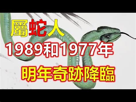 1989什么蛇|1989属蛇的五行 1989年属蛇蛇是什么命